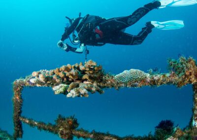 plongée dans l'ocean de l'île Maurice