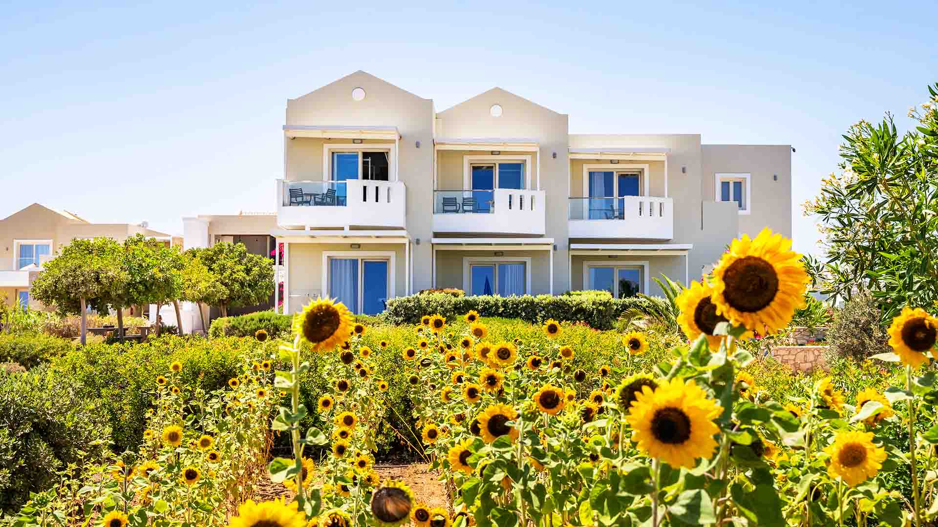 thalassa suite hotel karpathos with flowers