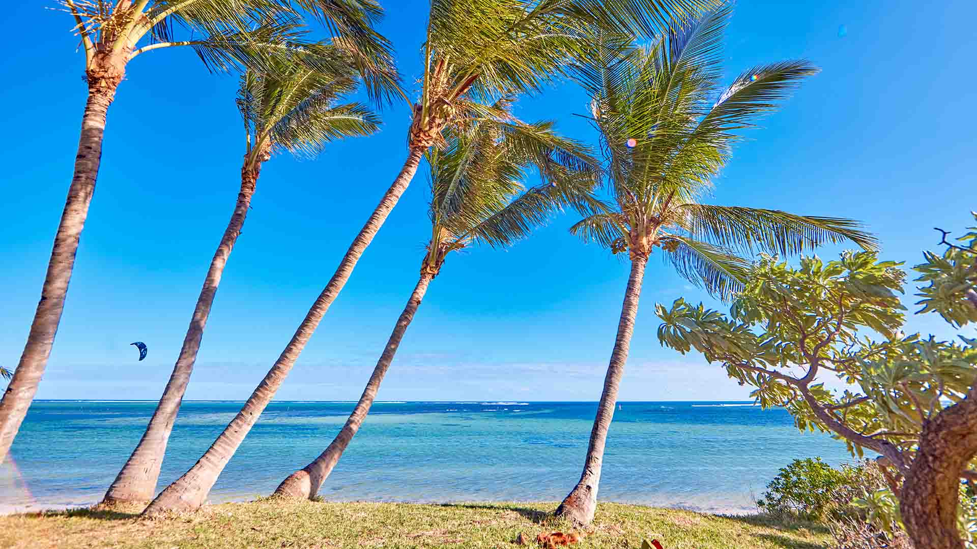 beach Mauritius with kitesurf