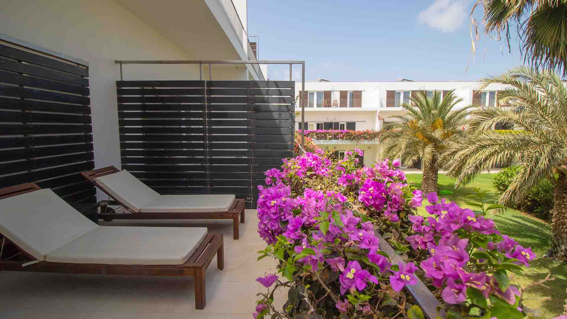 terrace in the cap verde hotel with pink flowers 