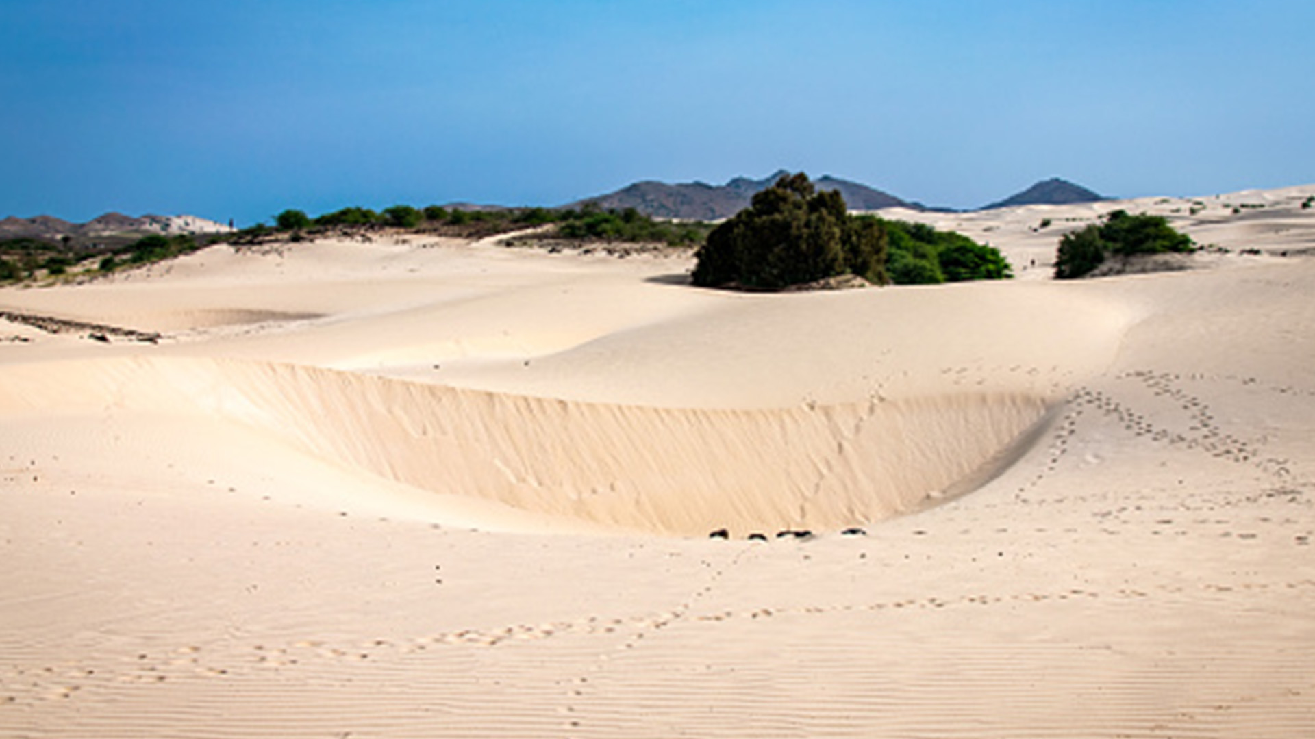 DESERT VIANA