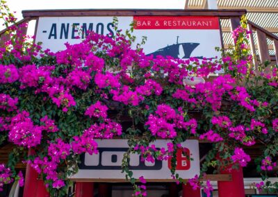 anemos greece